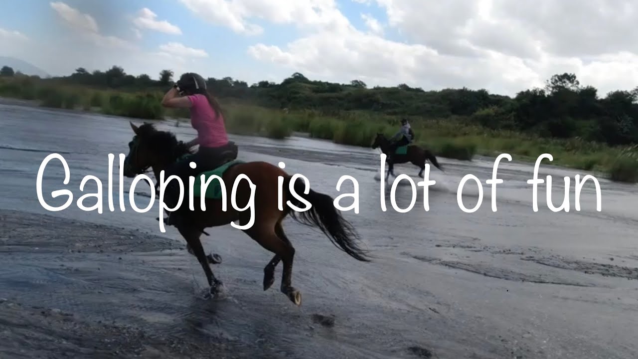 Let’s enjoy Gallop (Fun to ride and gallop) ギャロップてホント楽しい！！