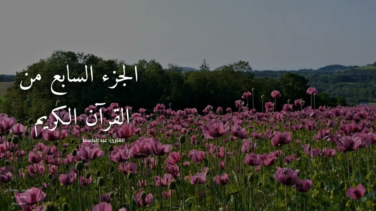 الجزء السابع من القرآن الكريم كامل | تلاوة خاشعة عبد الباسط عبد الصمد مع اصوات الطبيعة الهادئة 