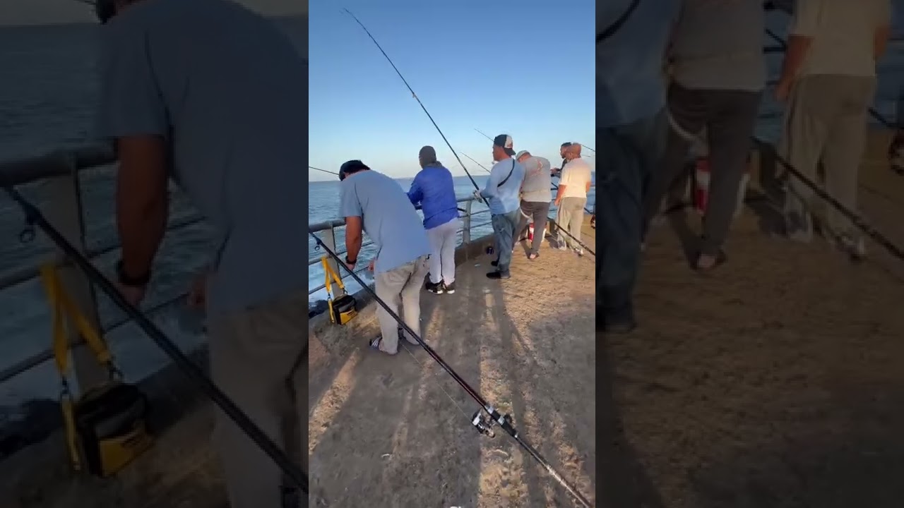 صيد سمك التونه بالفارة 🔥🎣