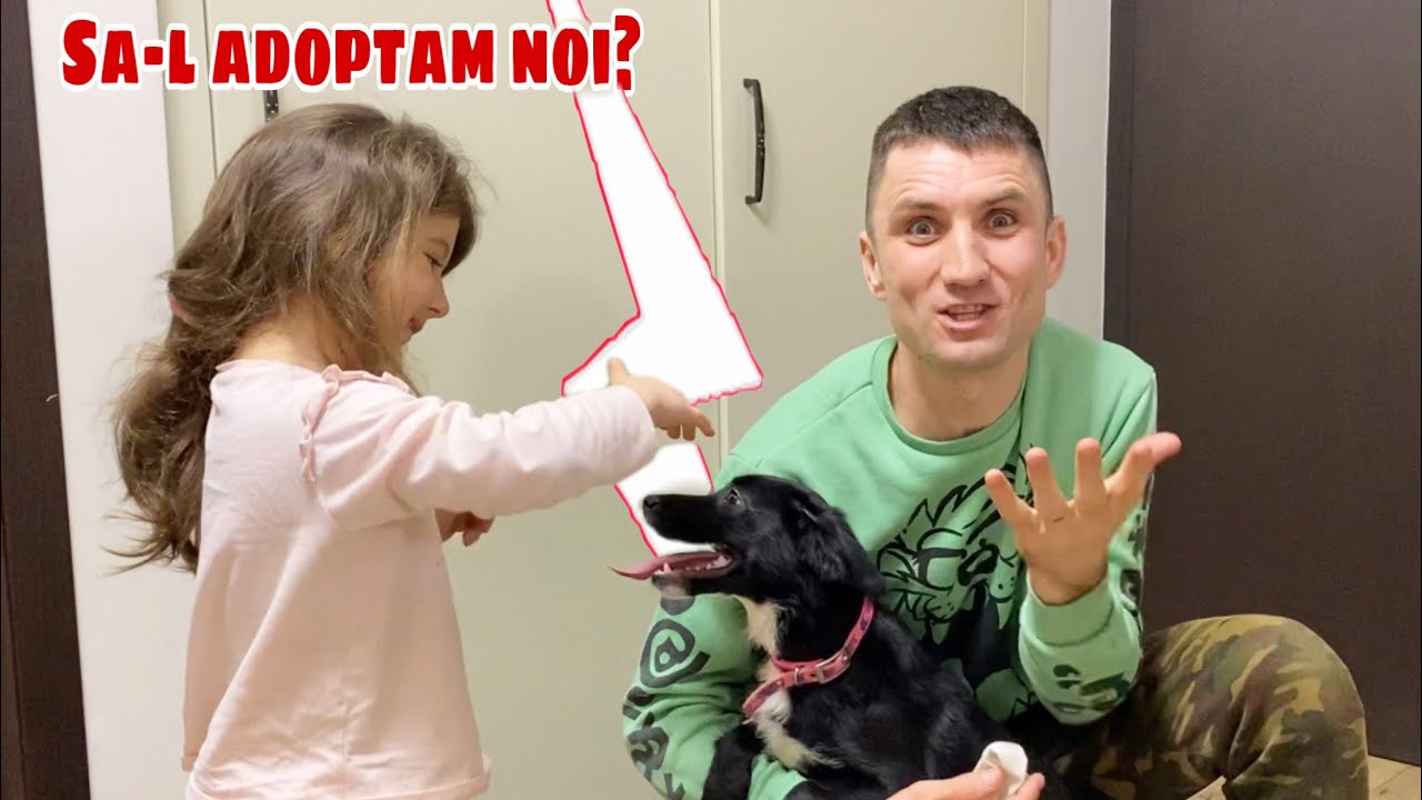 AVEM UN NOU MEMBRU IN FAMILIE ?