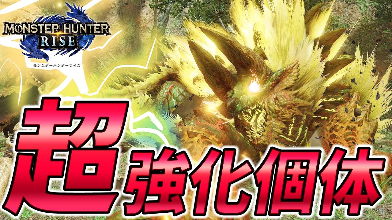 あれれ？強化個体ヌシジンオウガそんなに強くない？？【モンスターハンターライズ】
