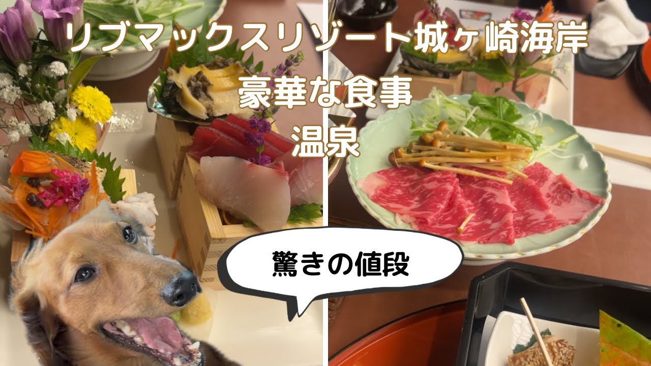 【犬連れ旅行】リブマックスリゾート城ヶ崎海岸