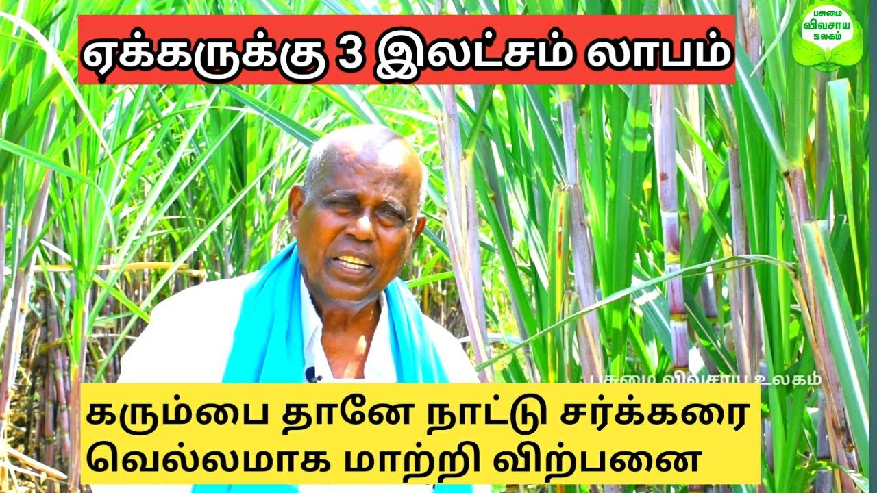 கரும்பு சாகுபடி ஒரே கட்டை 27 ஆண்டு தொடர் சாகுபடி