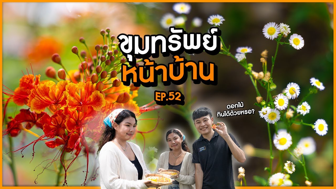 ขุมทรัพย์หน้าบ้าน | นับหนึ่งถึงล้าน EP.52