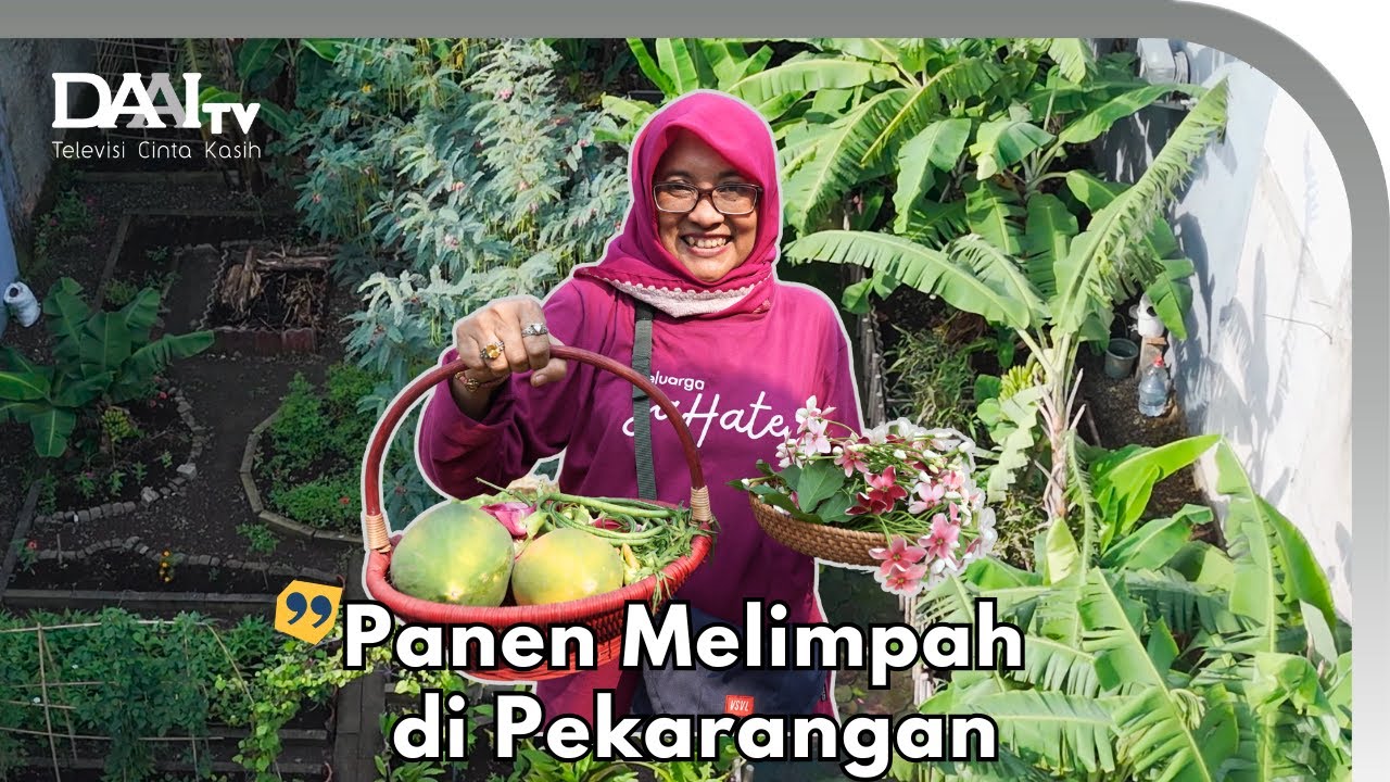Kebun Pekarangan Super Lengkap - Kebun Larasati