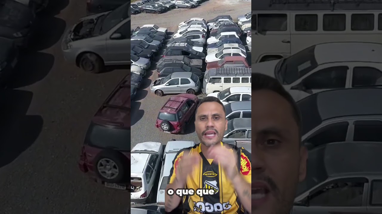 Isso deve revoltar o povo a sair &agrave;s ruas e combater o projeto de vistoria peri&oacute;dica na c&acirc;mara