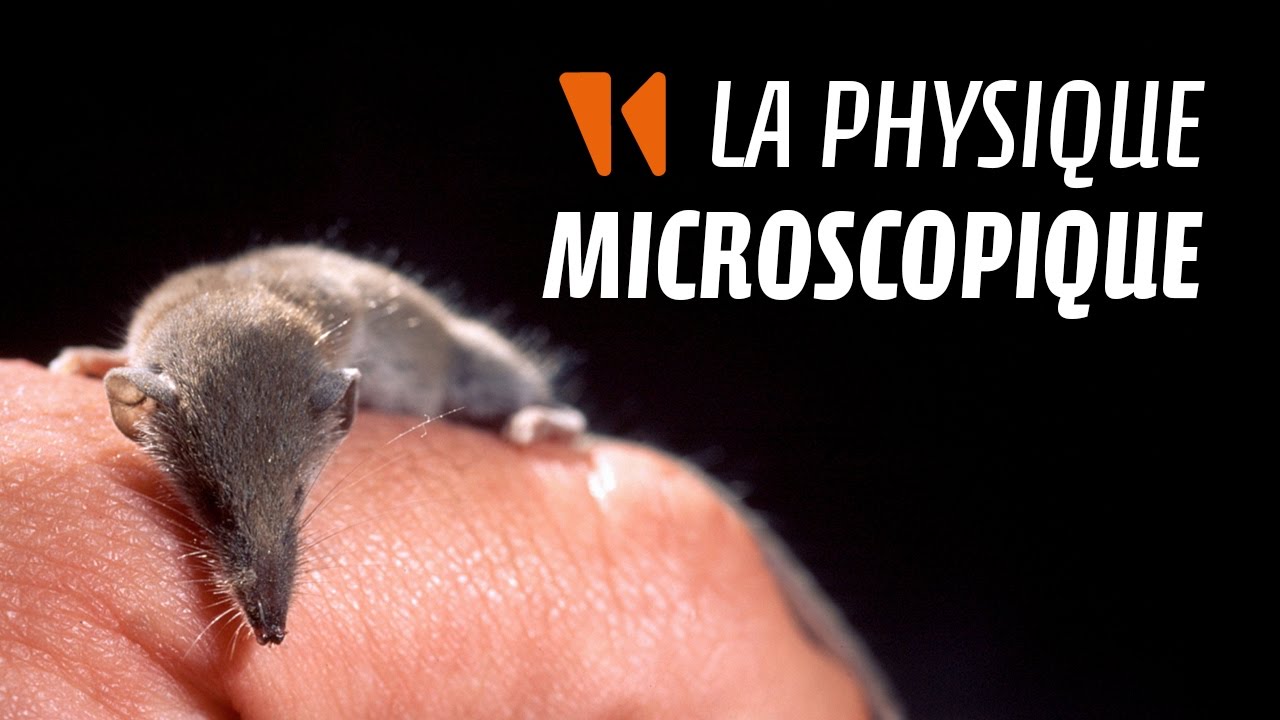 Aventures microfluidiques #1 : La physique microscopique