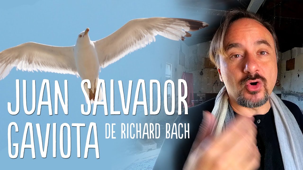 🟢 Juan Salvador Gaviota, de Richard Bach - Análisis - Club de los lectores muermos