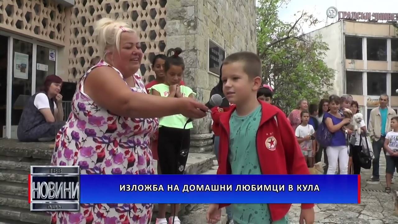 Изложба на домашни любимци в Кула