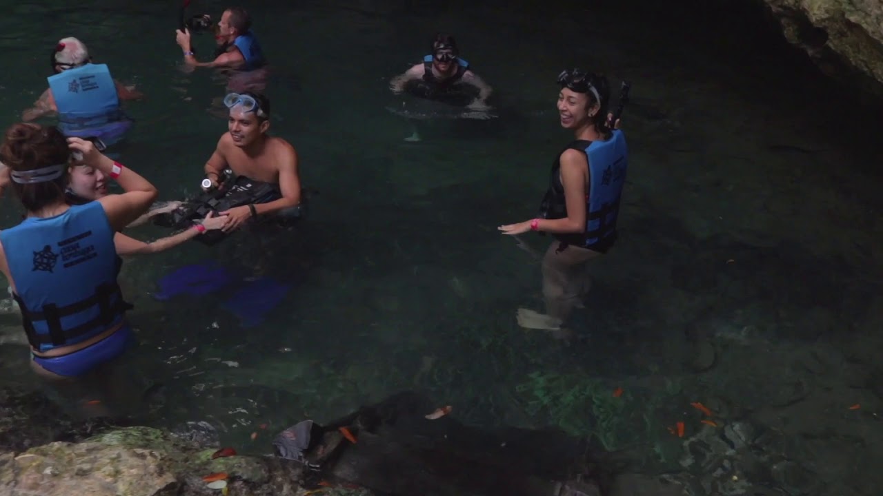 Cenotes Casa Tortuga