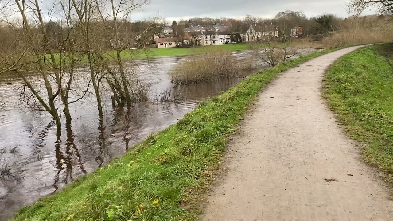 Free Fishing stretch at Hurworth Place, Croft on Tees. Darlington