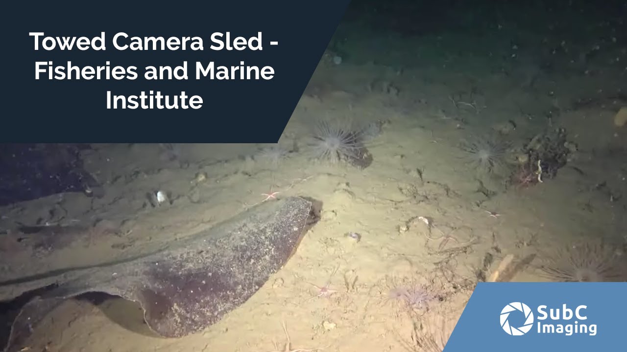 Towed Camera Sled - Fisheries and Marine Institute