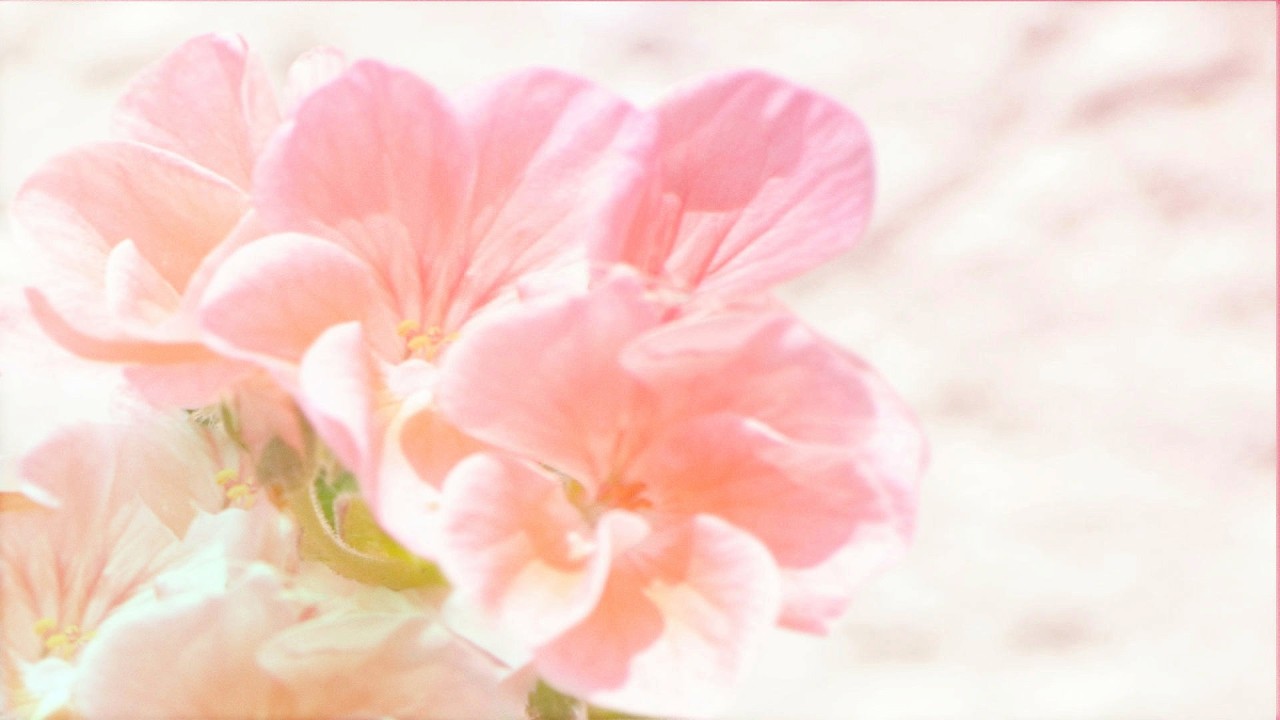 Пусть тяжесть спадет | Медитация для эмоционального освобождения при тяжести на сердце