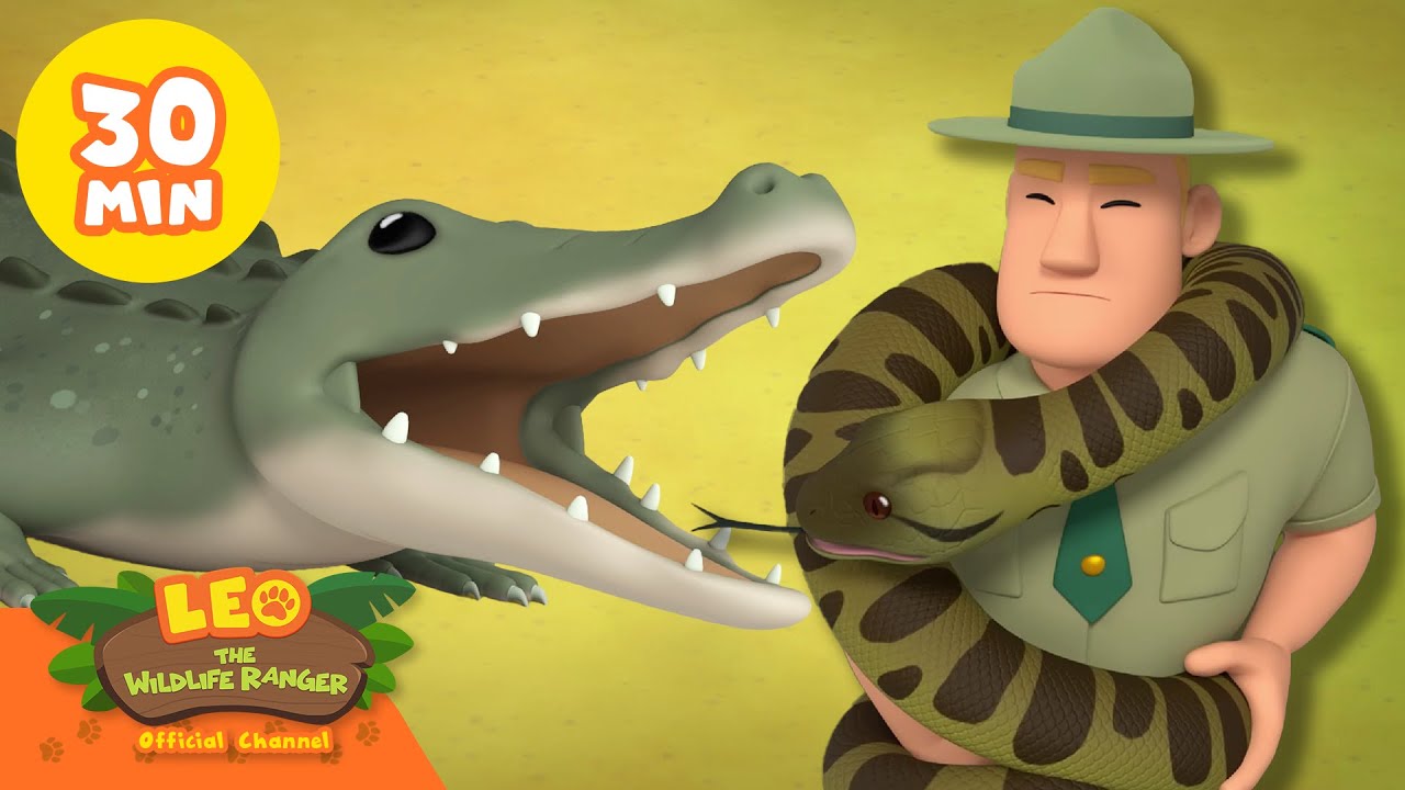 Отмечаем День Стива Ирвина, «охотника на крокодилов»! 🐊 | Лео — рейнджер | Детские мультфильмы