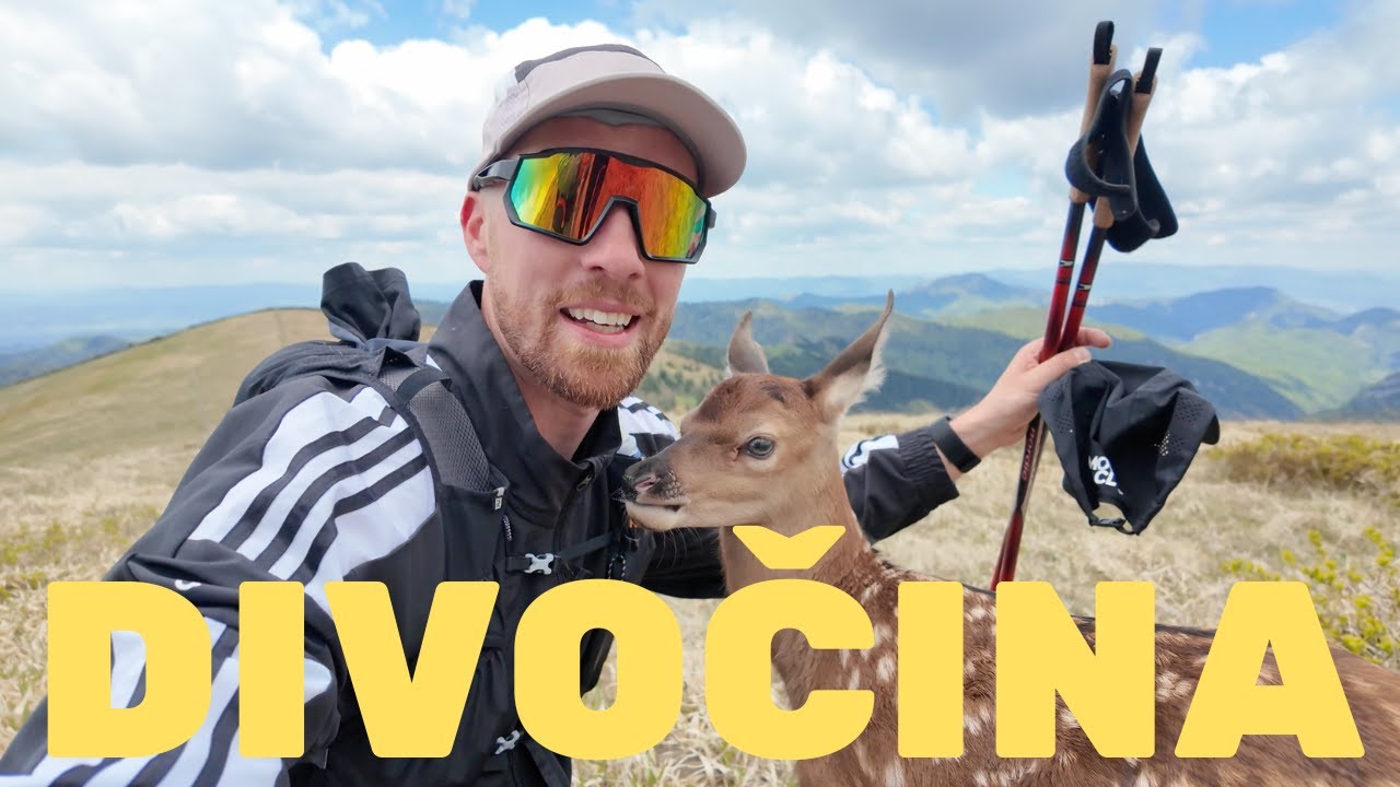 Prekvapenie v horách