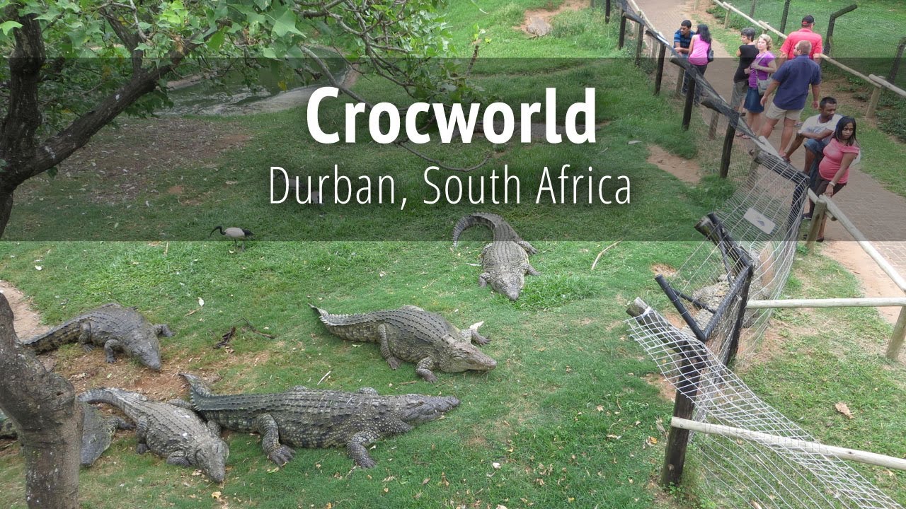 Crocworld Conservation Centre - Durban, South Africa