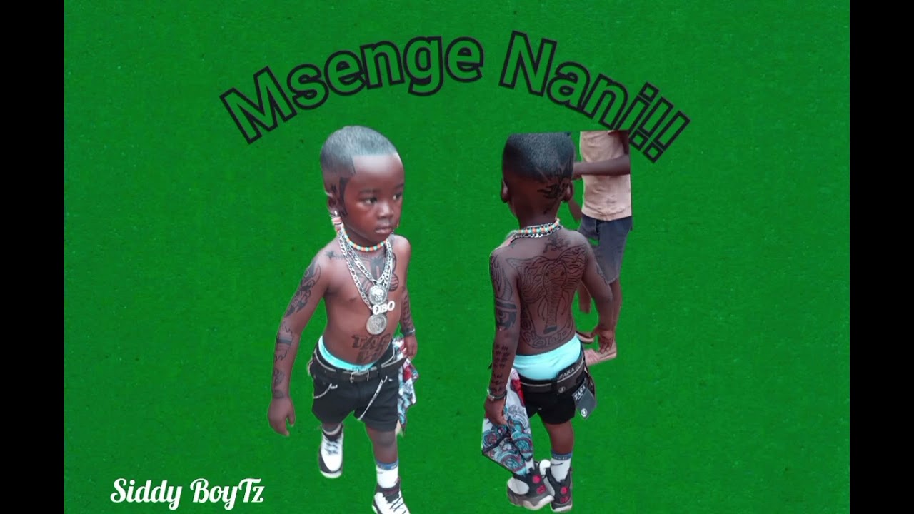 MTWARA MADIMBENI_ NSENGE NANI (Official Dimbe Audio)