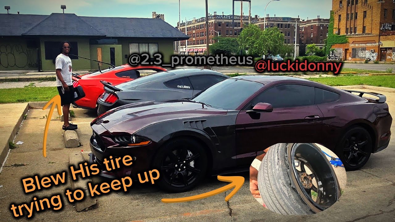 Mustangs terrorizing the streets gone WRONG
