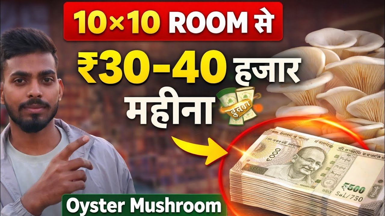 10×10 के Room से Mahine ke ₹30,000–40,000 कमाएं | Oyster Mushroom Farming Business Idea 🍄या