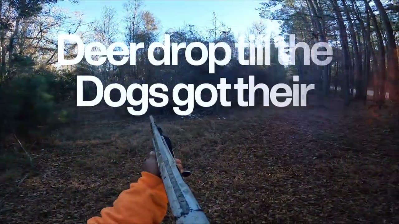 South Carolina dog hunting last day of the season 2025