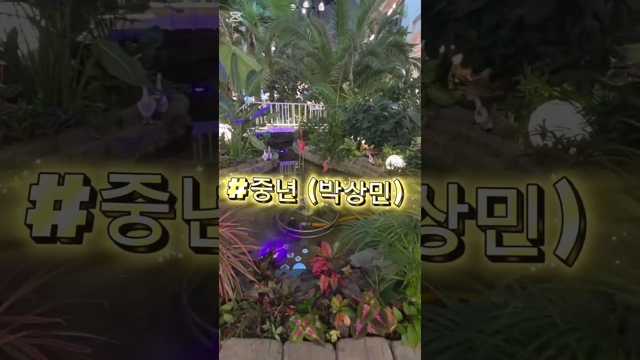 #중년
