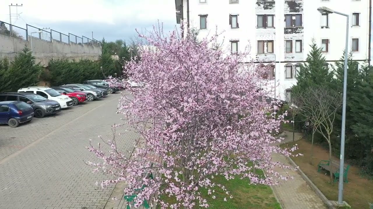 Baharın İzinde: İzmit Körfezi