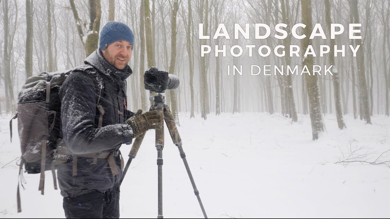 Landscape photography - behind the scenes in the Danish woodlands | using tripod, perfect exposure