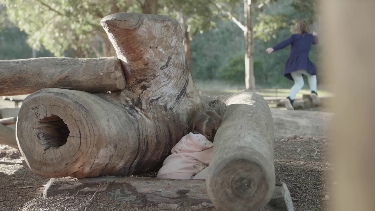 Timber Creations for Nature-Based Playgrounds
