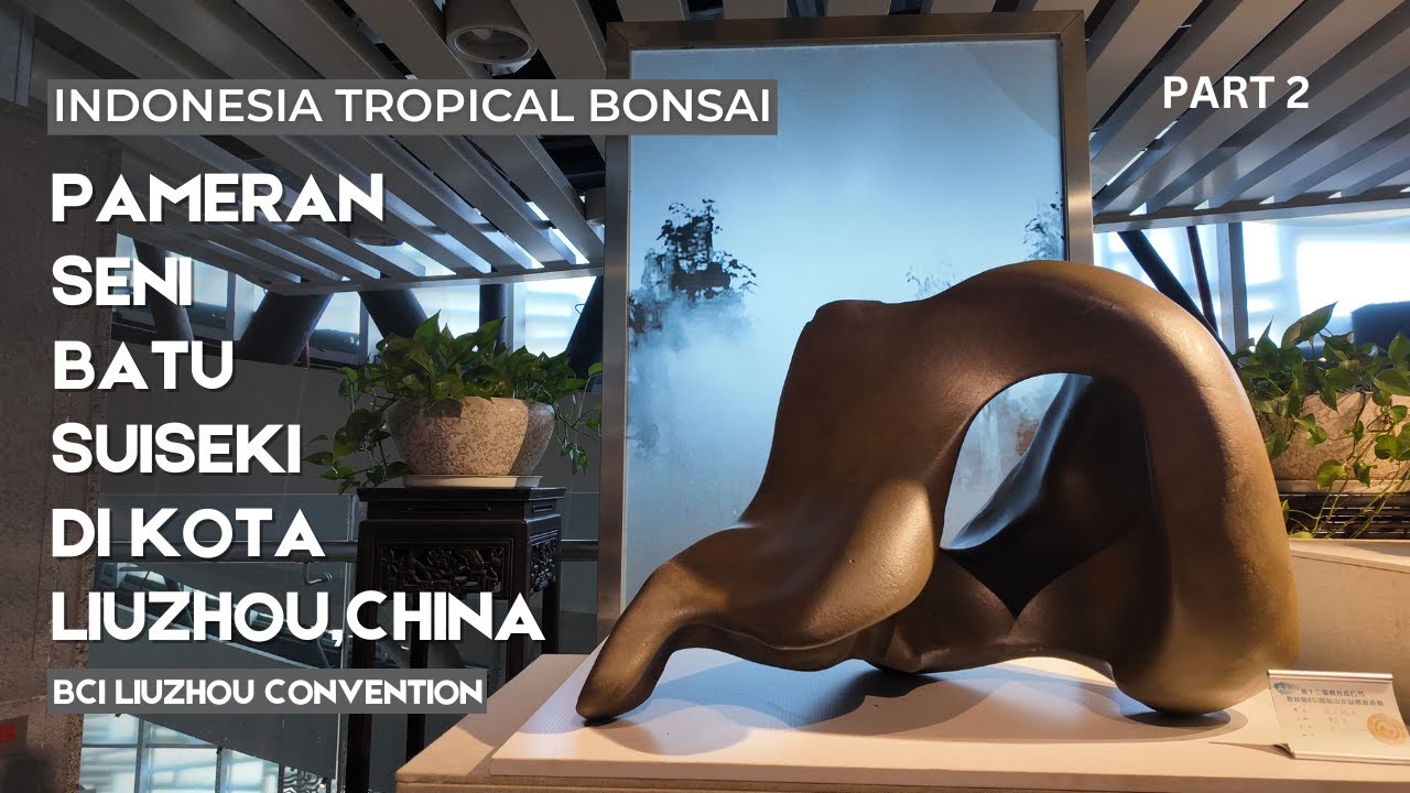 Pameran Batu Suiseki Terbesar di China