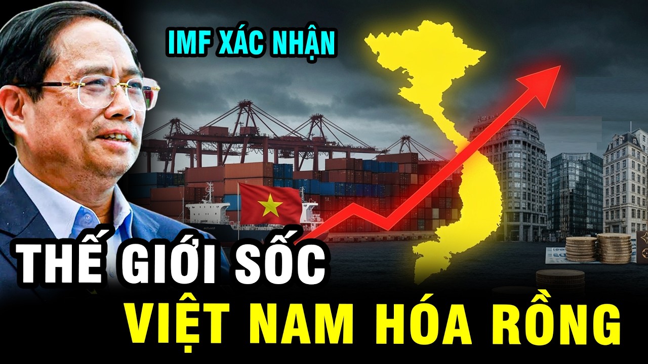 IMF Xác Nhận: Kinh Tế VN Lập Kỷ Lục 2025 - Cơ Hội Để Tài Sản Của Bạn Bùng Nổ 2026?