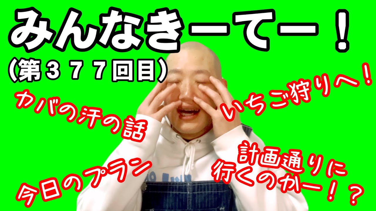 みんなきーてー！（第３７７回目）