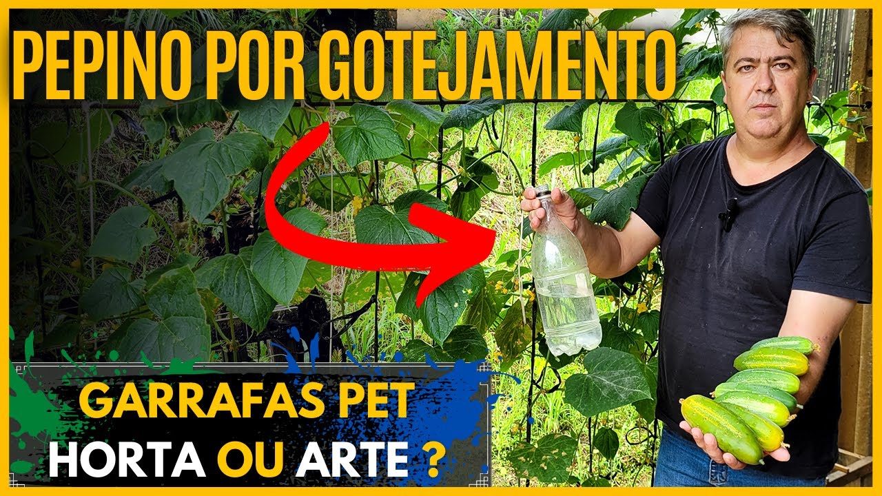 HORTA VERTICAL DE PEPINO IRRIGADA POR GOTEJAMENTO EM GARRAFAS PET