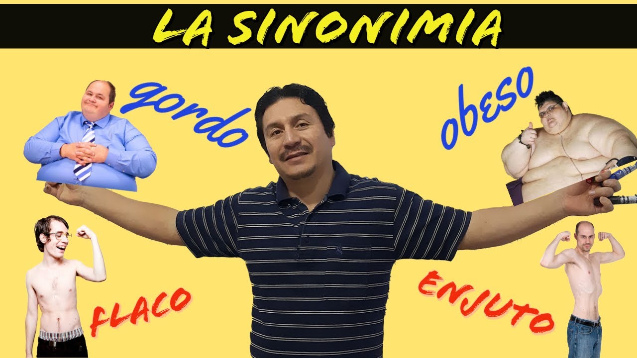 SINÓNIMOS
