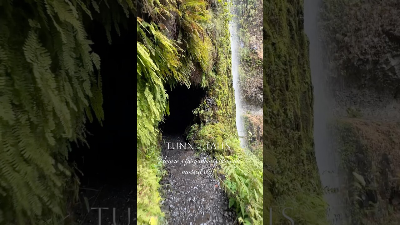 Tunnel Falls | Epic Waterfall Adventure in Cascade Locks, Oregon | Eagle Creek Trail PNW| Best Hike