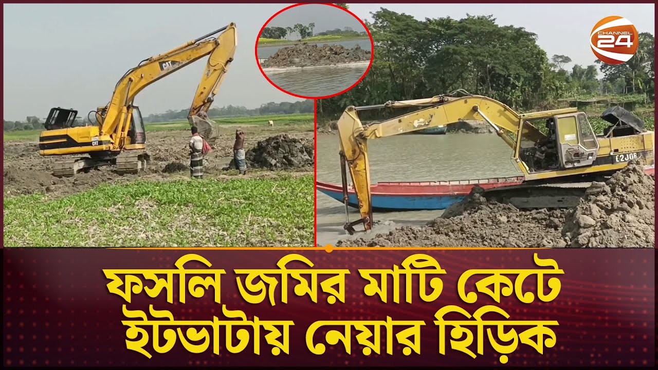 ফসলি জমির মাটি কাটার মহোৎসব চলছে মাদারীপুরে | Madaripur News | Madaripur Agri Soil | Channel 24