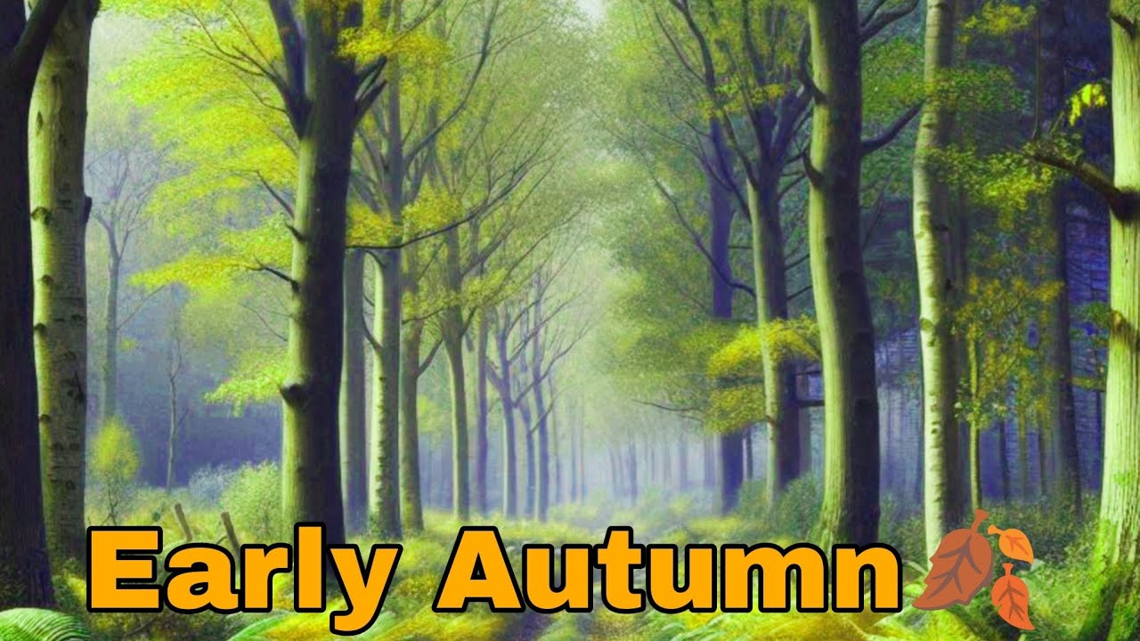 Dreamy Autumnal Woodland Walk #fall #forest #mindfulness #trees