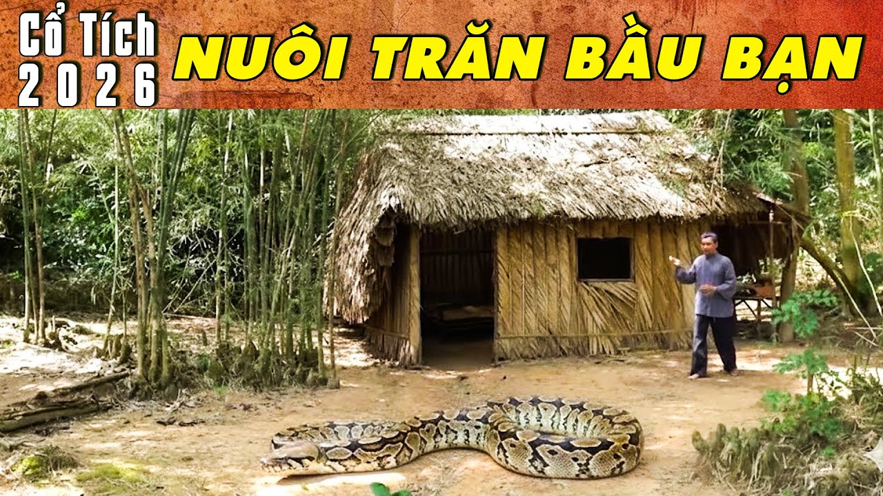 CỔ TÍCH MỚI 2026 - NUÔI TRĂN BẦU BẠN | Phim truyện cổ tích hay nhất | Cổ tích Việt Nam 2026