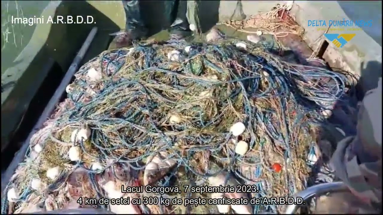 4 kilometri de plase și 300 kg pește confiscate pe lacul Gorgova