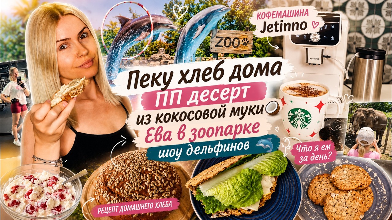 Пеку хлеб дома | ПП десерт из кокосовой муки 🥥 Ева в зоопарке | шоу дельфинов 🐬 кофемашина Jetinno