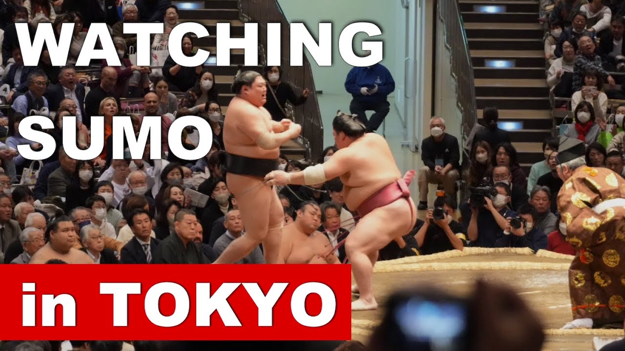 A Day at SUMO Tournament ♢ Schedule, Tickets and Seats, How to Enjoy the Day.