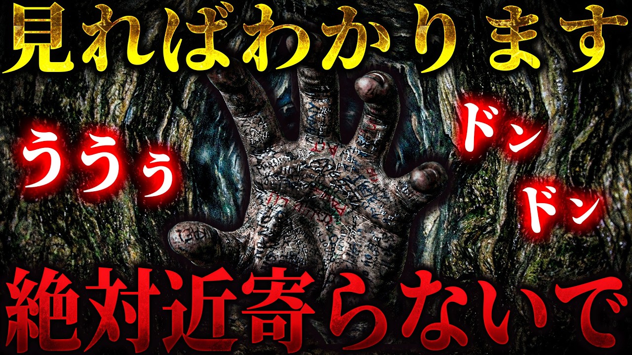 【心霊】この場所には絶対に近づくな... 洞窟の奥から聞こえてくる人の呻き声... 全ては見れば分かります【りょうた君1人回】