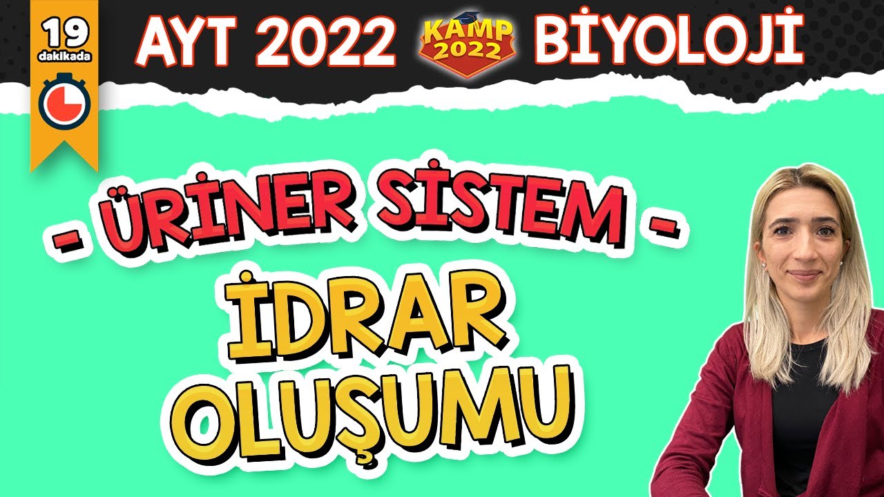 İdrar Oluşumu | AYT Biyoloji #Kamp2022