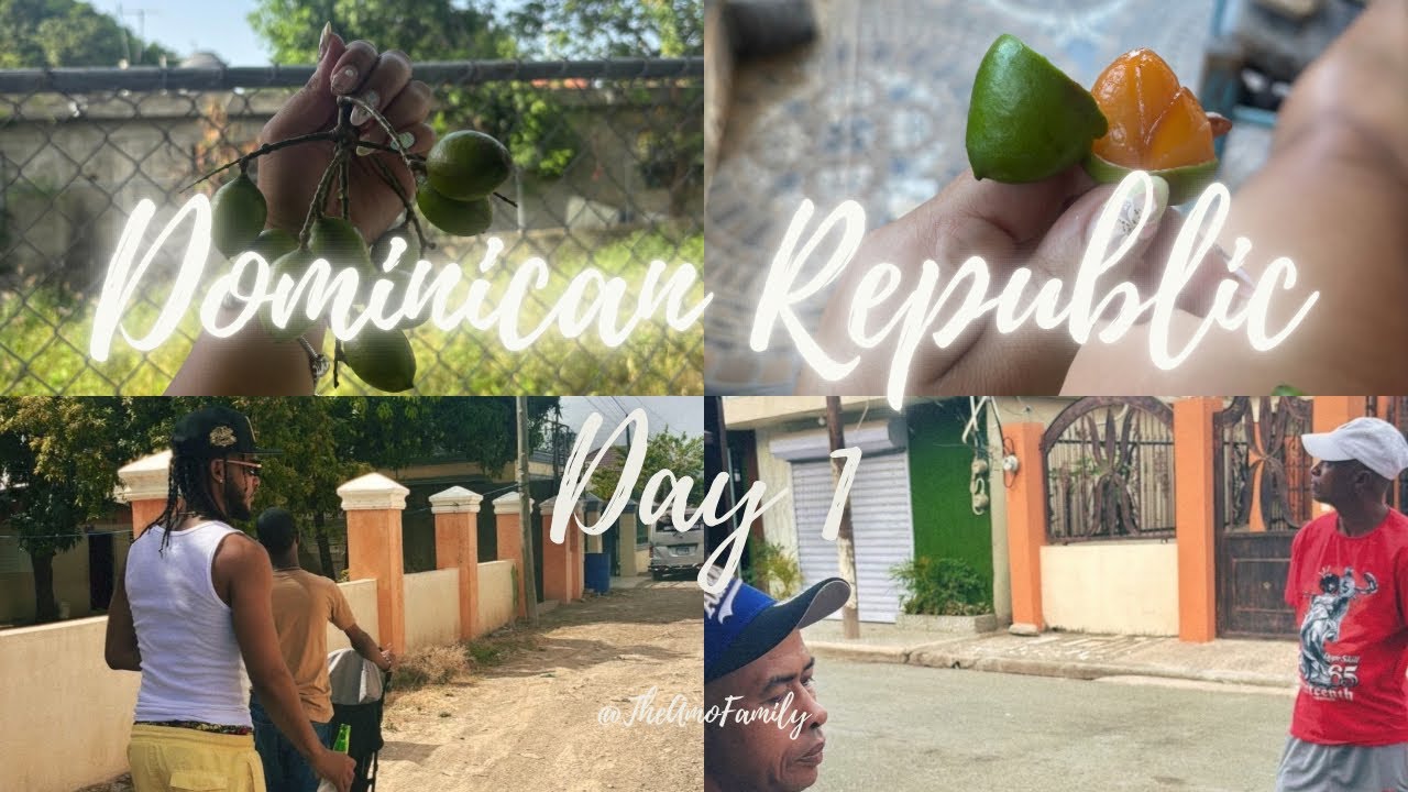 Dominican Republic ￼Vacation (Day 1)