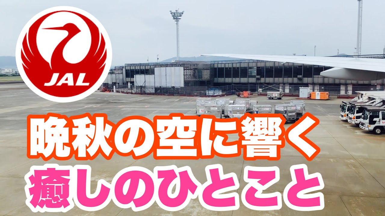 【JALアナウンス】晩秋の大阪上空を望むフライトとCAさんのやさしいアナウンスに癒される【HIDE-KIX AIR】