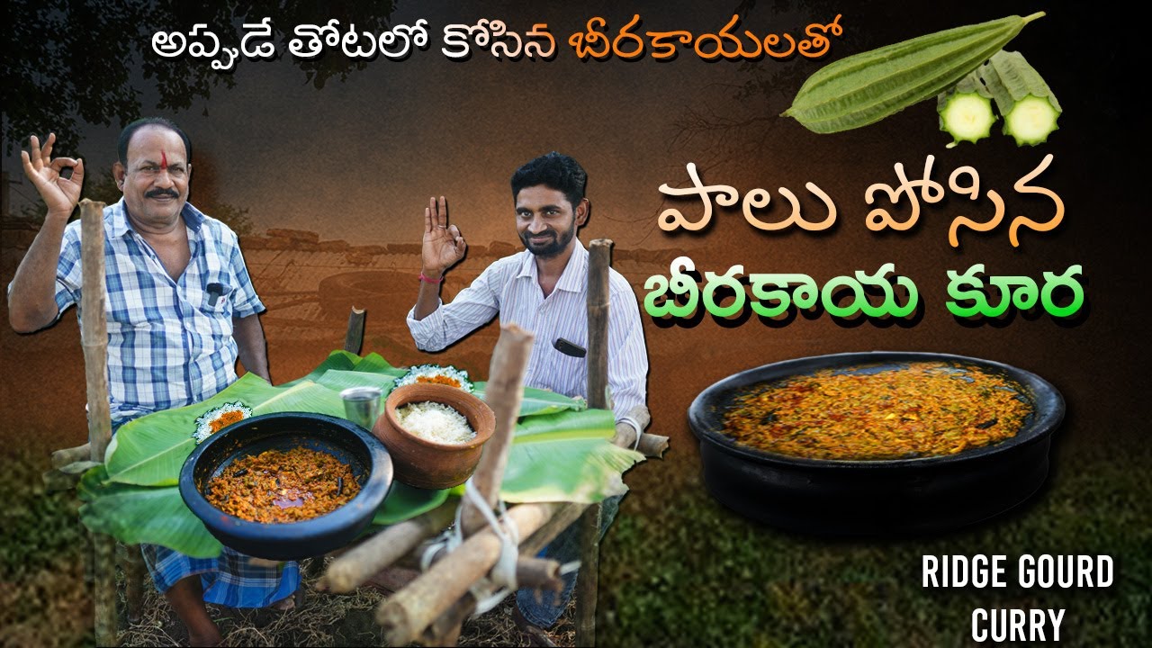 పాలు - బీరకాయ || beerakaya milk curry || Ridge gourd milk curry