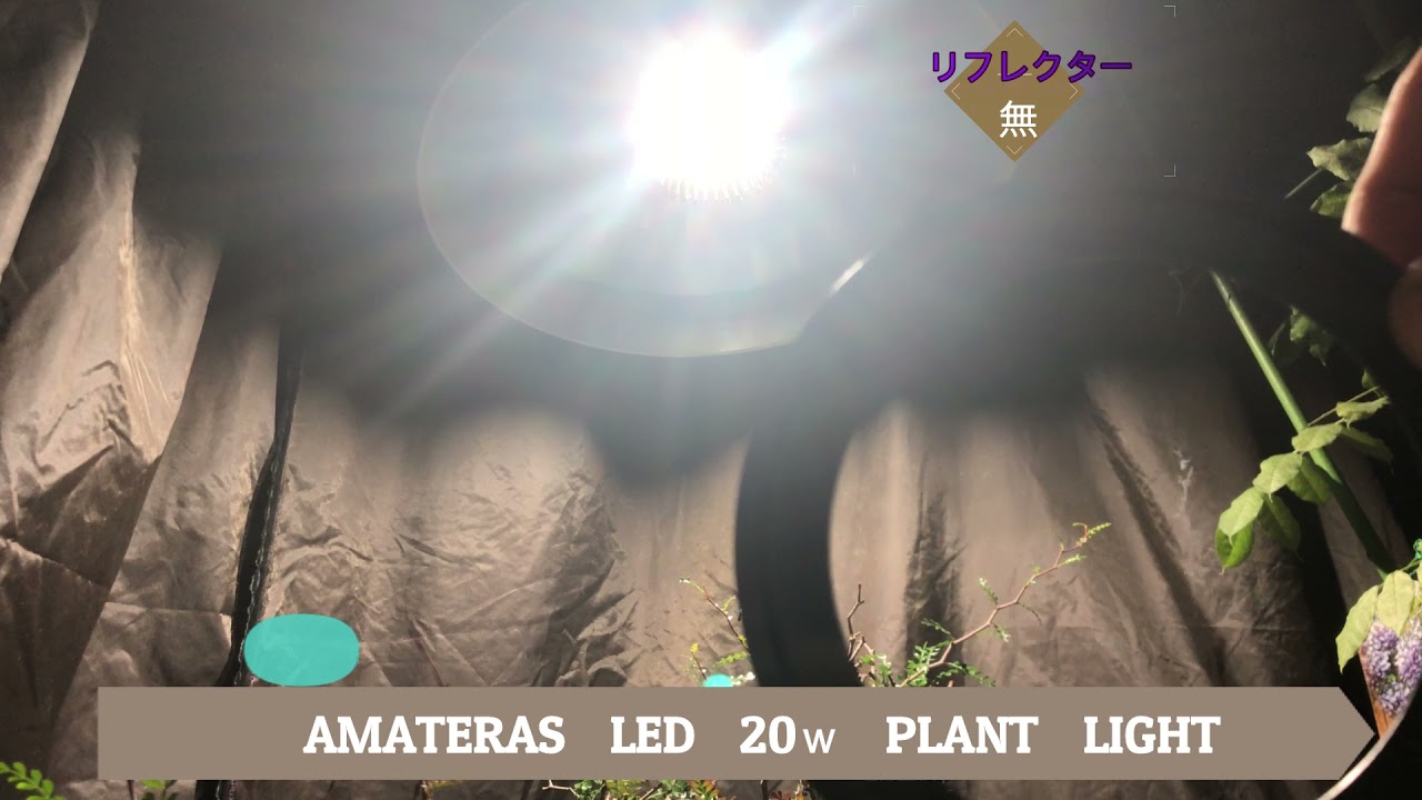 Plants Growth Diary ＃05 AMATERAS LED検証PART1＃AGAVE＃アガベ＃プランツグロースダイアリー＃ツクヨミ＃グランカクタス＃サボサボストア＃アマテラス#実験