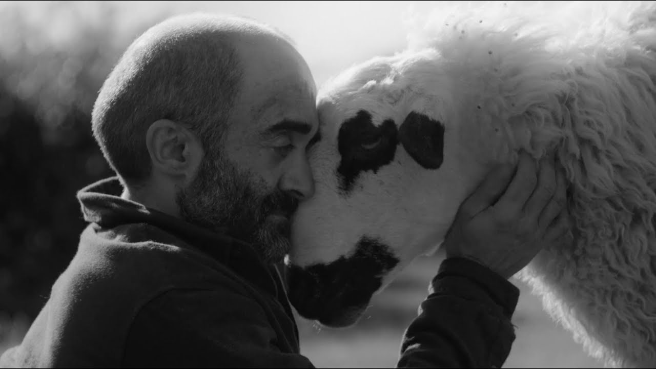 10 edición Muestra Cine Ascaso