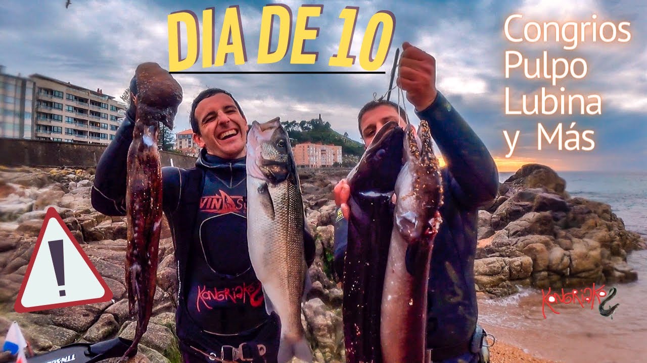 ✅PESCA SUBMARINA🎯[CONGRIOS, PULPOS, LUBINAS, SANTIAGUIÑO Y MUCHO MAS]⚡