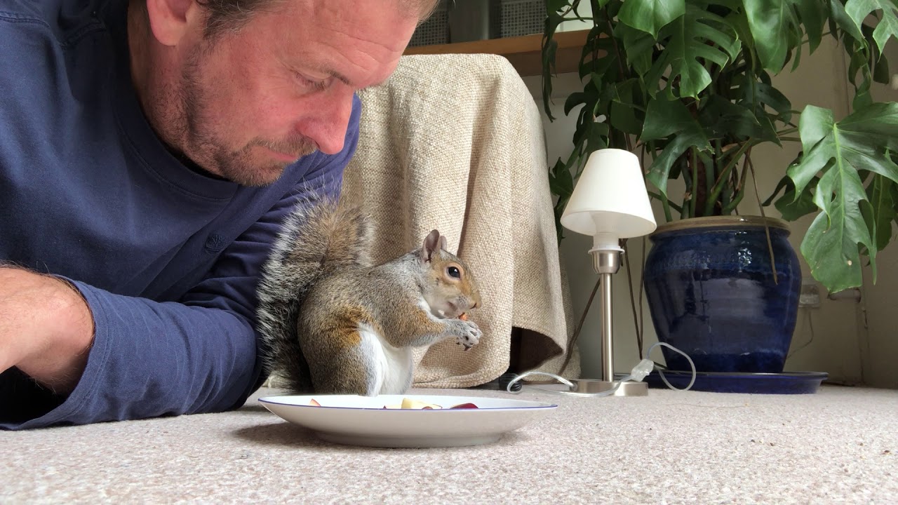 Kiki the Squirrel