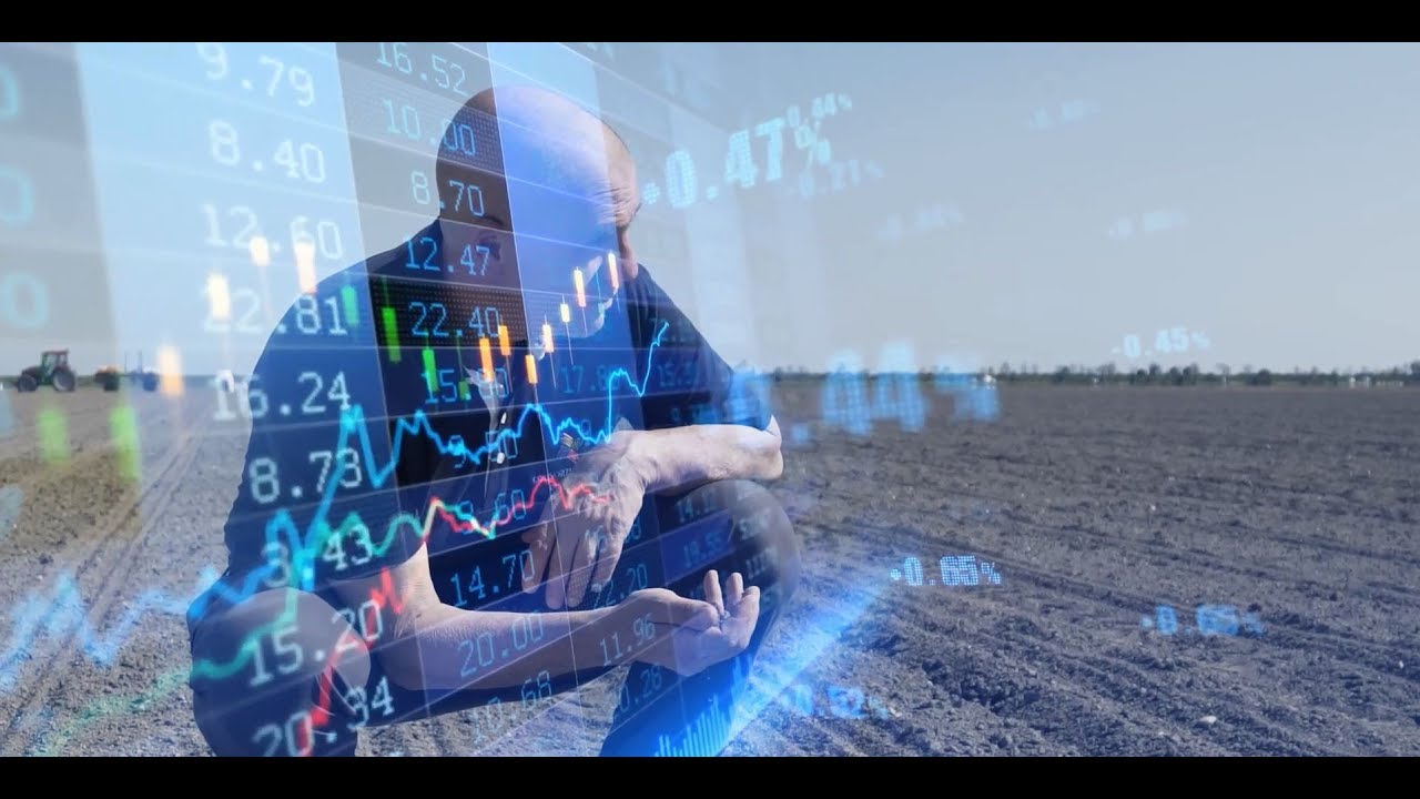 COLTIVIAMO REDDITO | Report sulla produttività mais, soia, sorgo e girasole